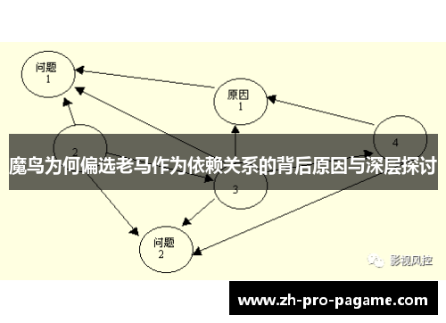 魔鸟为何偏选老马作为依赖关系的背后原因与深层探讨 魔鸟为何偏选老马作为依赖关系的背后原因与深层探讨