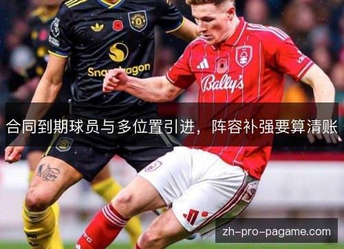 合同到期球员与多位置引进，阵容补强要算清账